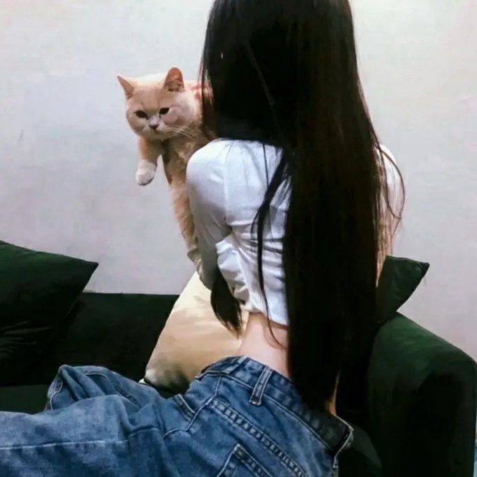最强大脑第八季